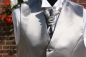 Preview: Set Cutweste Hochzeitsweste Herrenweste Plastron in silber grau