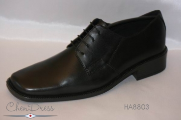 Herrenschuhe aus Matt-Echtleder in schwarz HA8803